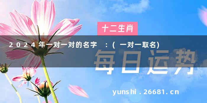 2024年一对一对的名字 :(一对一取名)